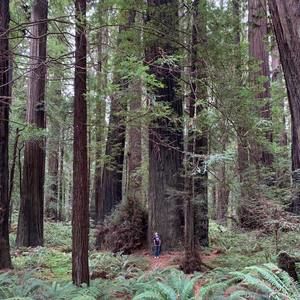 Meet your Posher, Sean